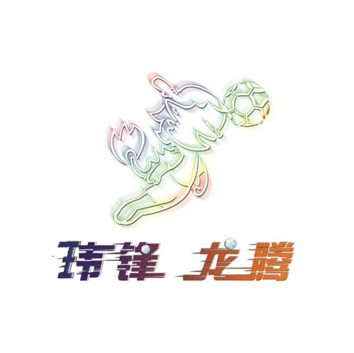 玮锋龙腾