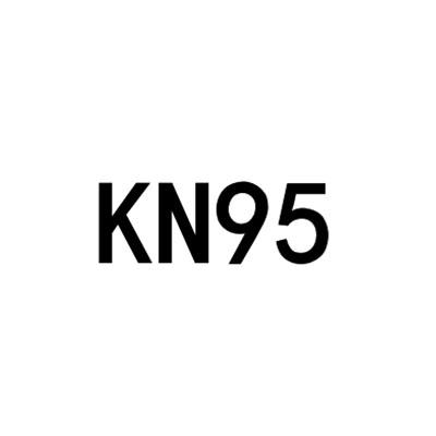 KN 95
