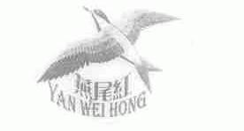 燕尾