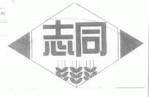志同