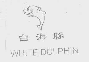 白海豚   WHITE DOLPHIN