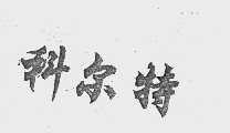 科尔特