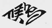 候鸟