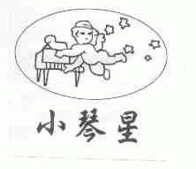 小琴星
