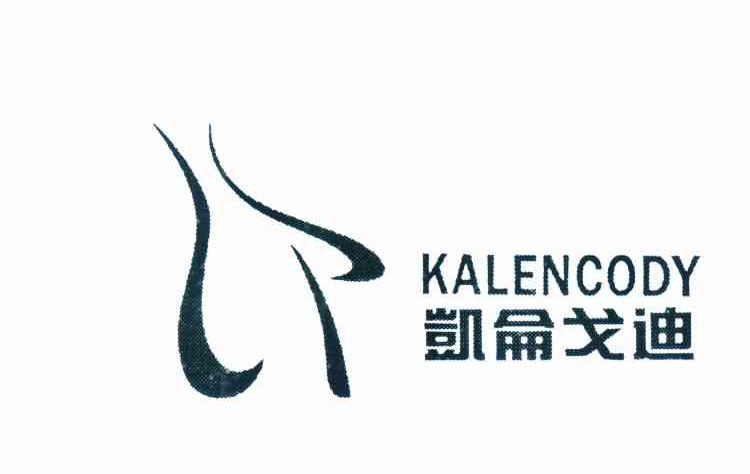 凯仑戈迪 KALENCODY