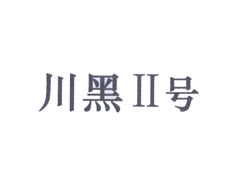 川黑II号