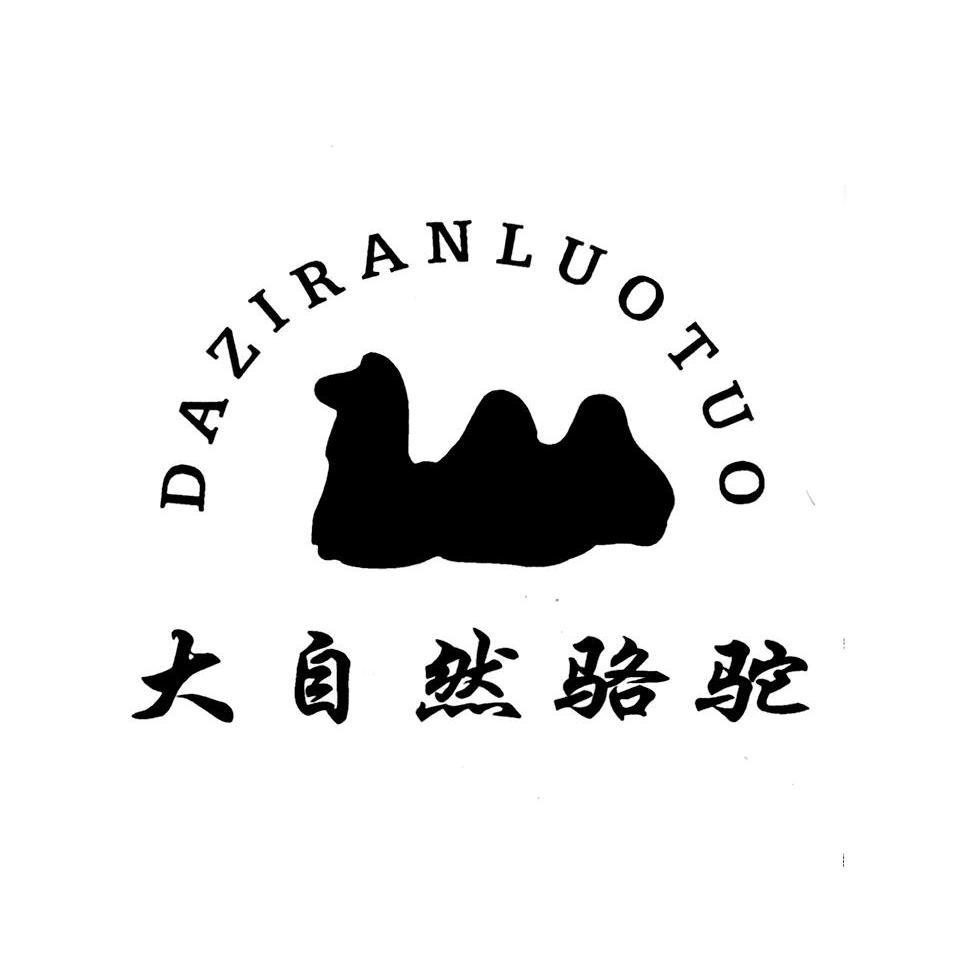 大自然骆驼