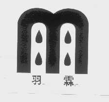 羽霖