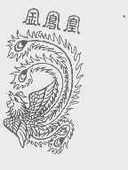 金凤凰