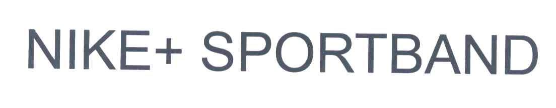 NIKE+SPORTBAND