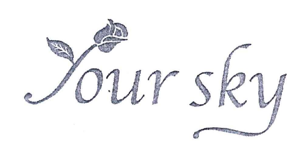 YOUR SKY