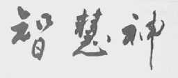 智慧神