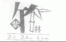 紫竹林