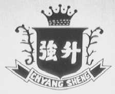 CHYANG SHENG    强升