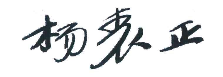 杨表正