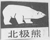 北极熊