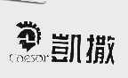 凯撒;CAESAR