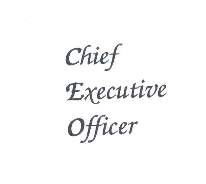 CHIEF EXECUTIVE OFFICER