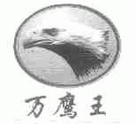 万鹰王