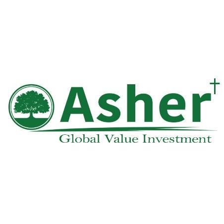 ASHER GLOBAL VALUE INVESTMENT