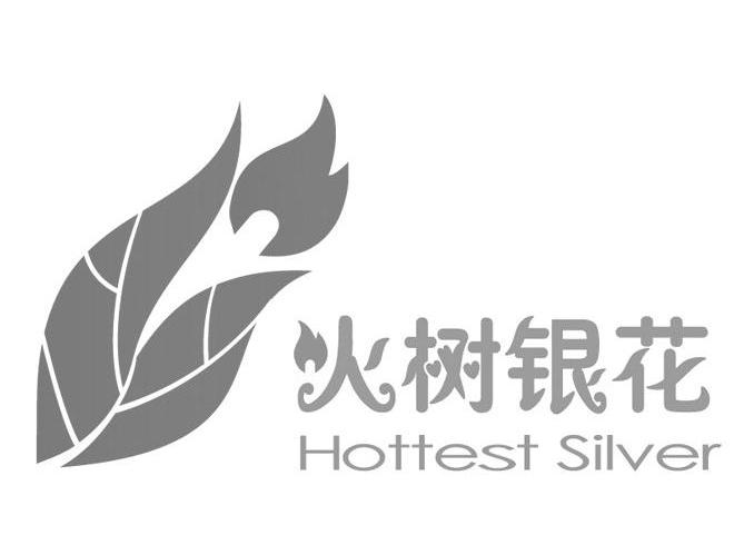 火树银花 HOTTEST SILVER