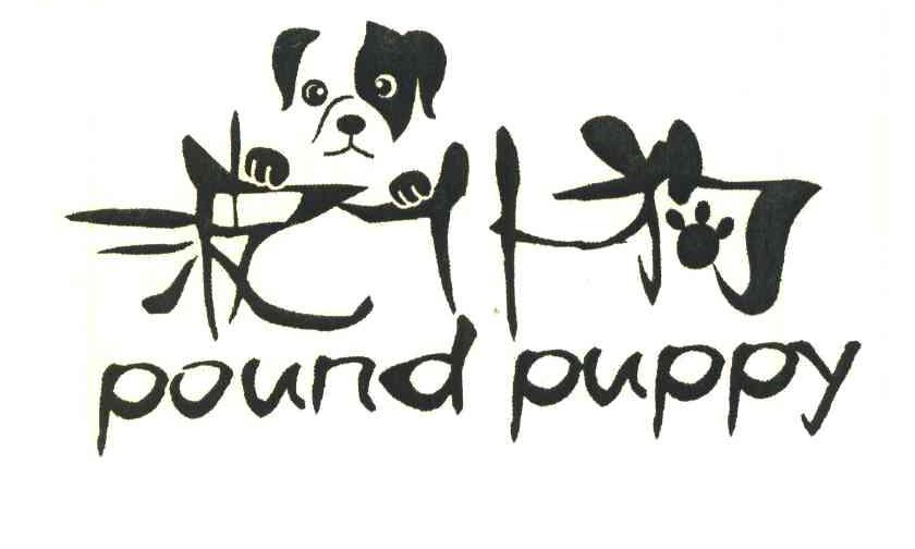 波仆狗;POUND PUPPY