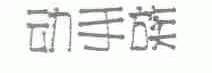 动手族