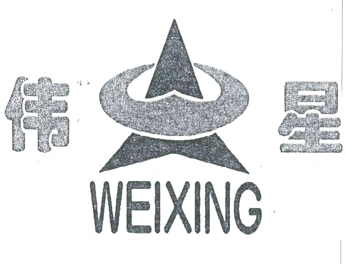 伟星;WEI XING