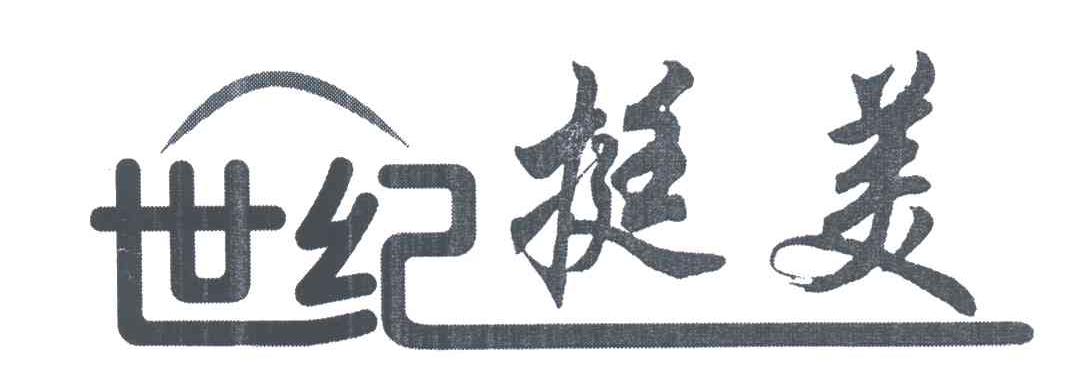 世纪挺美