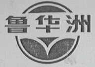 鲁华洲