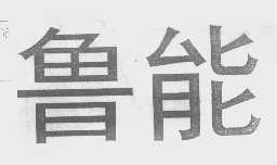 鲁能