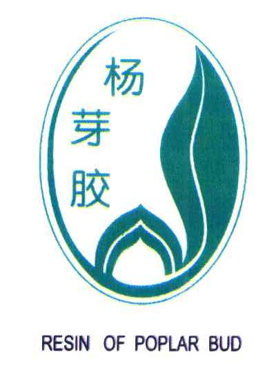 杨芽胶 RESIN OF POPLAR BUD