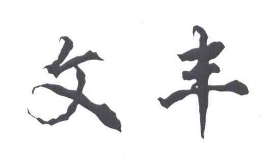文丰