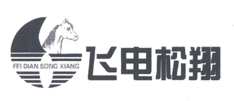 飞电松翔