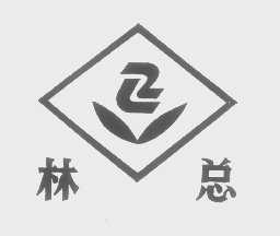 林总