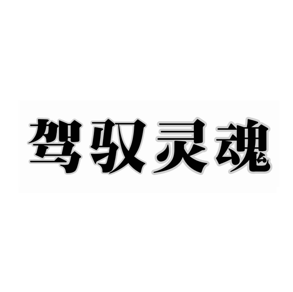 驾驭灵魂