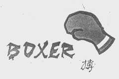 搏   BOXER