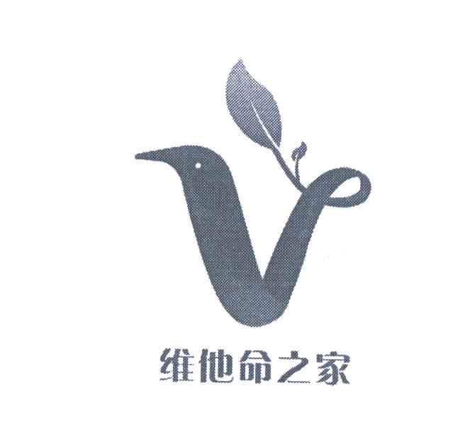 维他命之家;V