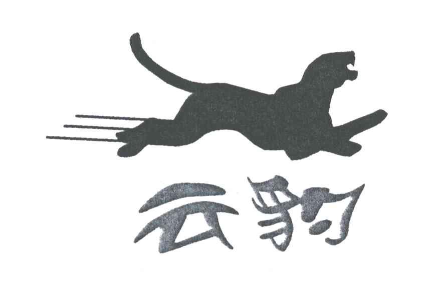 云豹