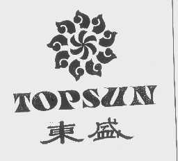 东盛  TOPSUN