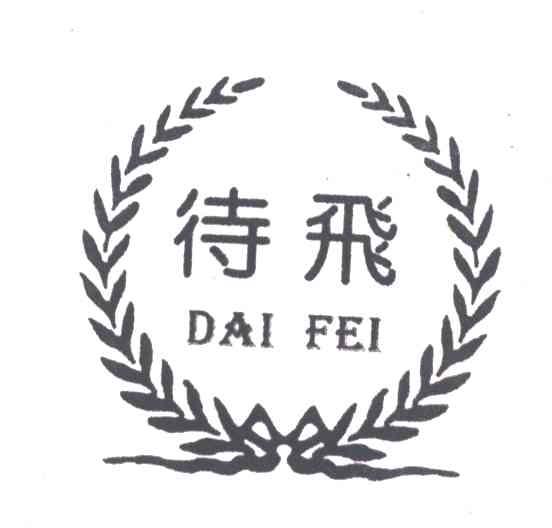 待飞
