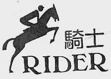 骑士  RIDER