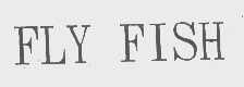 FLY FISH