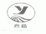 启扬