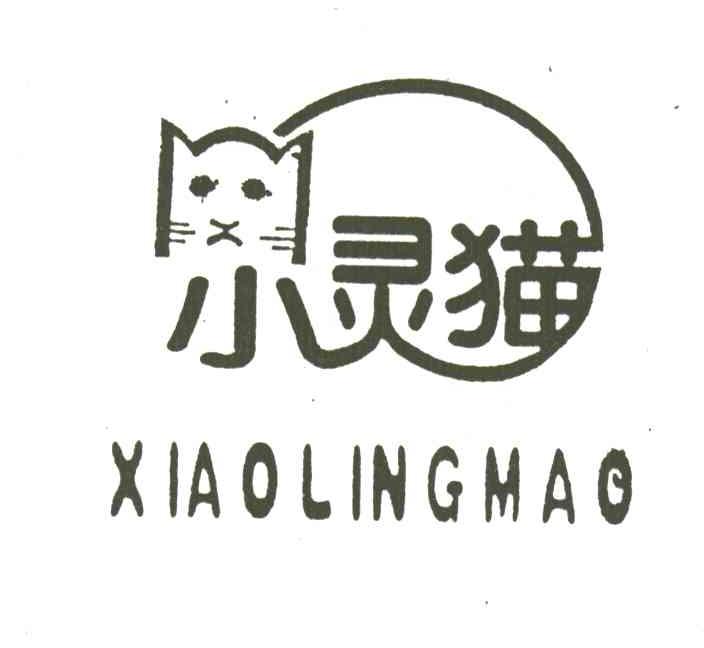 小灵猫
