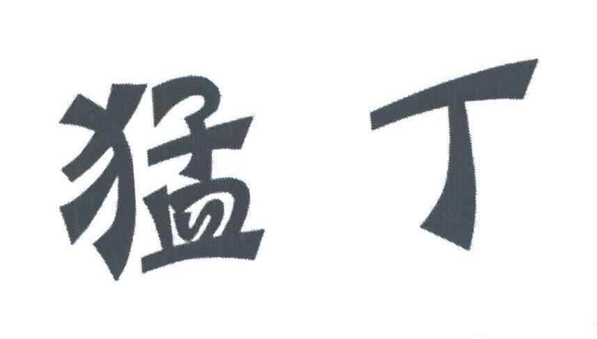 猛丁