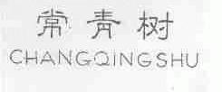 常青树