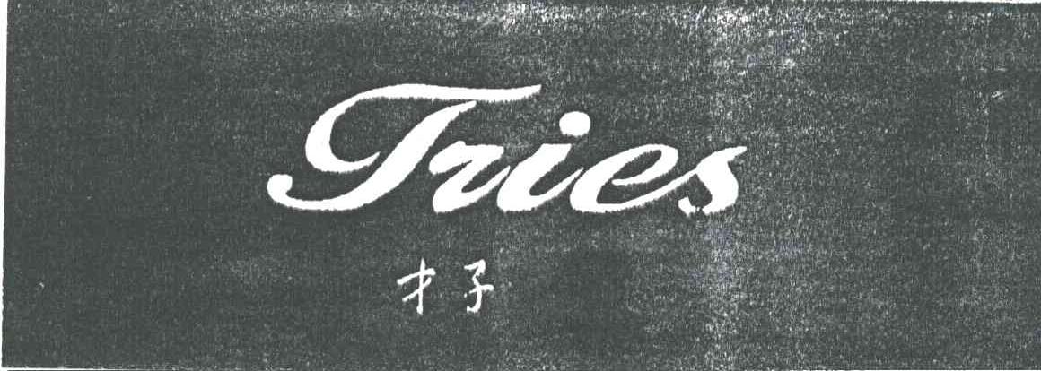 才子;TRIES