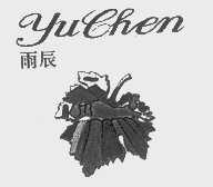 雨辰
