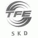 TFE SKD